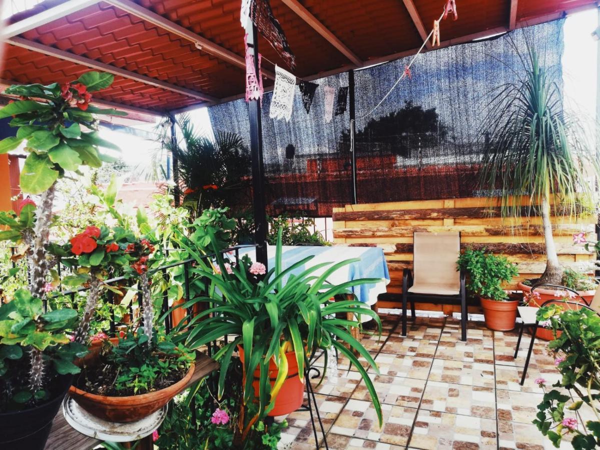 El Rincon De Dona Bety Otel Oaxaca Dış mekan fotoğraf