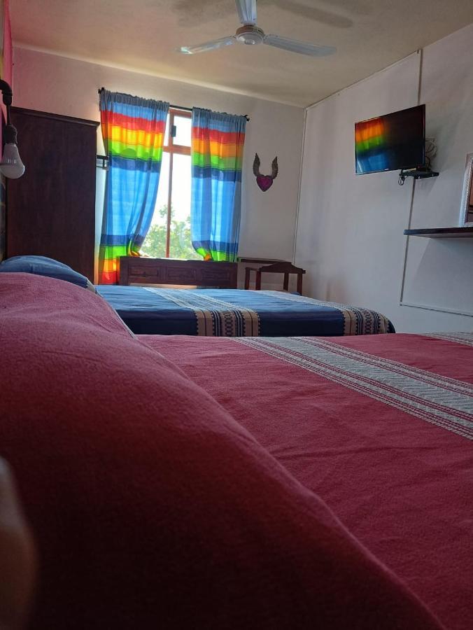 El Rincon De Dona Bety Otel Oaxaca Dış mekan fotoğraf