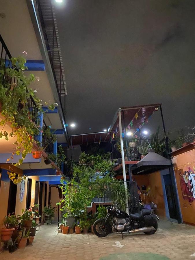 El Rincon De Dona Bety Otel Oaxaca Dış mekan fotoğraf